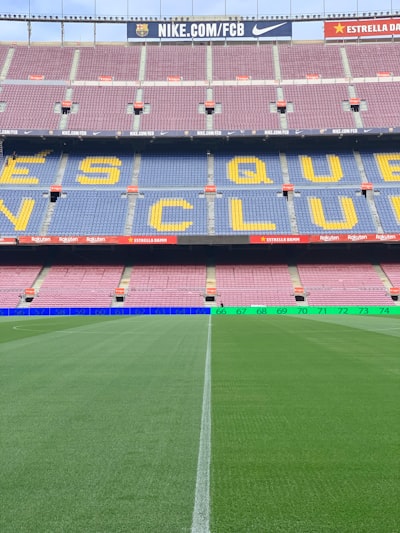 موعد مباراة البرازيل القادمكل ما تحتاج إلى معرفته