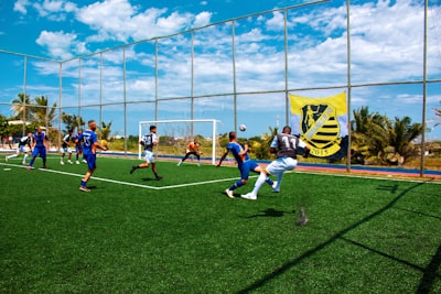 البرازيلي لاعب الأهلي الجديدإضافة قوية لفريق العاصمة
